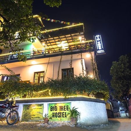 Big Tree Hostel กาฐมาณฑุ ภายนอก รูปภาพ