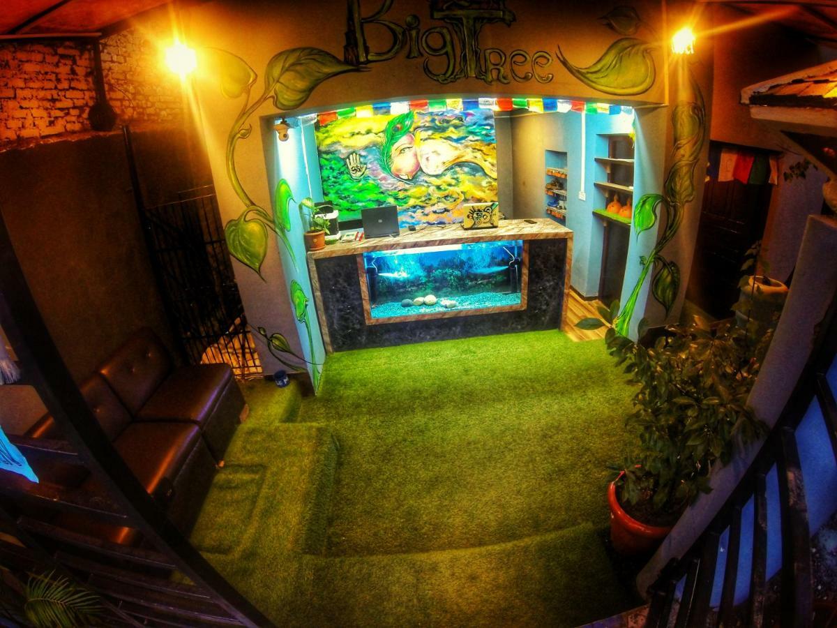 Big Tree Hostel กาฐมาณฑุ ภายนอก รูปภาพ